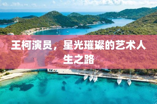王柯演员，星光璀璨的艺术人生之路