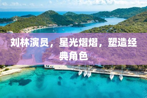 刘林演员，星光熠熠，塑造经典角色