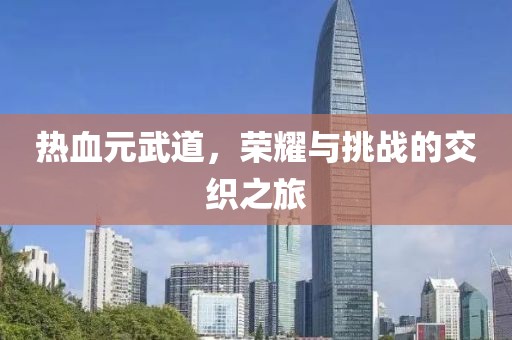 热血元武道，荣耀与挑战的交织之旅