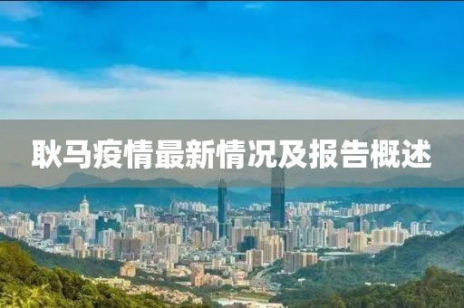耿马疫情最新情况及报告概述