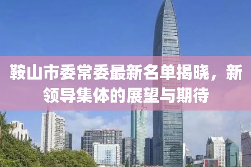 鞍山市委常委最新名单揭晓，新领导集体的展望与期待