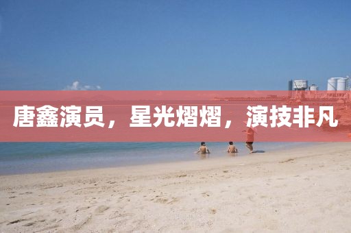 唐鑫演员，星光熠熠，演技非凡