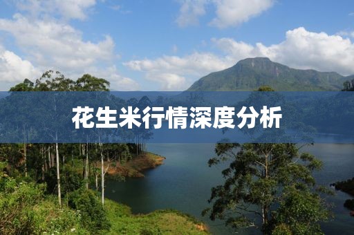 花生米行情深度分析