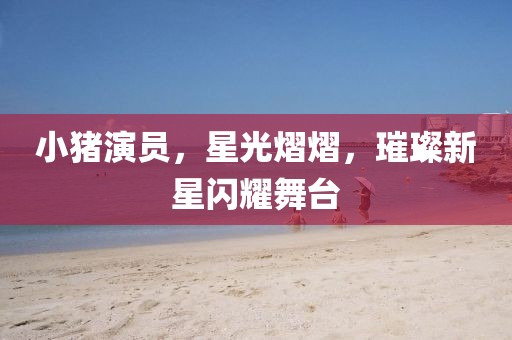 小猪演员，星光熠熠，璀璨新星闪耀舞台