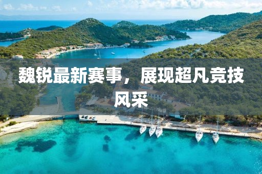 魏锐最新赛事，展现超凡竞技风采