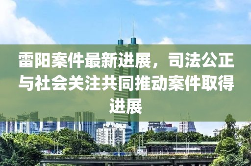 雷阳案件最新进展，司法公正与社会关注共同推动案件取得进展