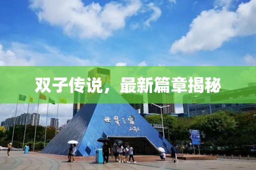 双子传说，最新篇章揭秘