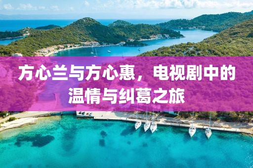 方心兰与方心惠，电视剧中的温情与纠葛之旅