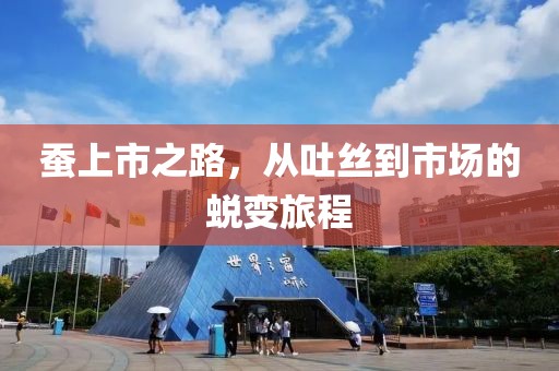 蚕上市之路，从吐丝到市场的蜕变旅程