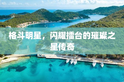 格斗明星，闪耀擂台的璀璨之星传奇