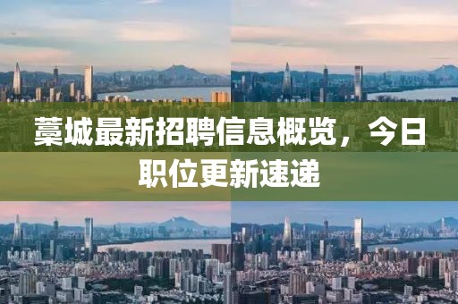 藁城最新招聘信息概览，今日职位更新速递