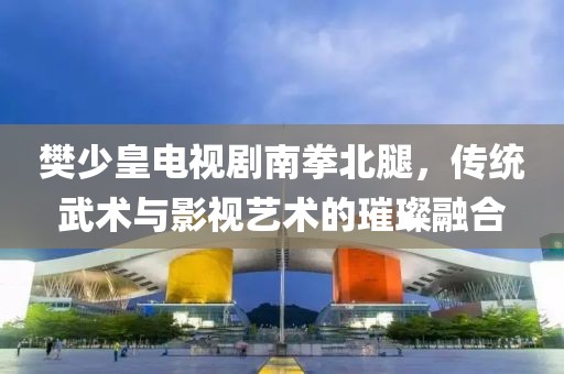 樊少皇电视剧南拳北腿，传统武术与影视艺术的璀璨融合