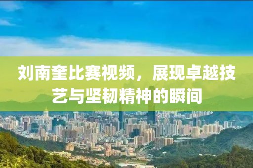 刘南奎比赛视频，展现卓越技艺与坚韧精神的瞬间