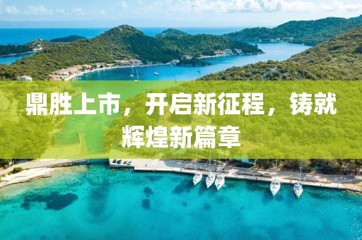 鼎胜上市，开启新征程，铸就辉煌新篇章