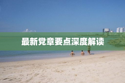 最新党章要点深度解读