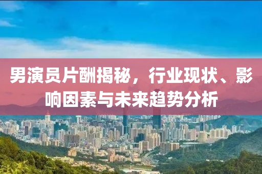男演员片酬揭秘，行业现状、影响因素与未来趋势分析