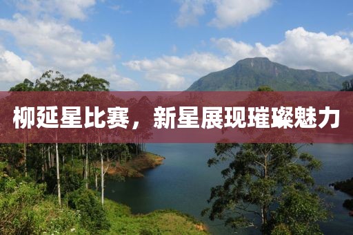 柳延星比赛，新星展现璀璨魅力
