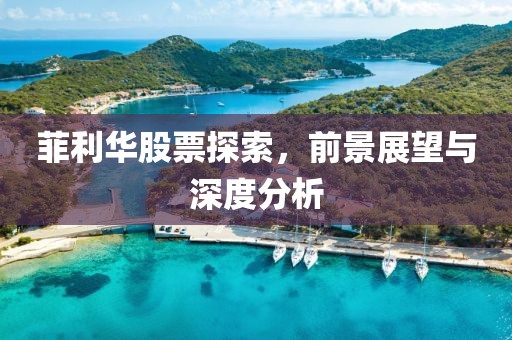 菲利华股票探索，前景展望与深度分析
