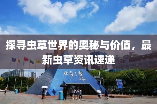 探寻虫草世界的奥秘与价值，最新虫草资讯速递