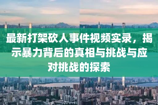 最新打架砍人事件视频实录，揭示暴力背后的真相与挑战与应对挑战的探索