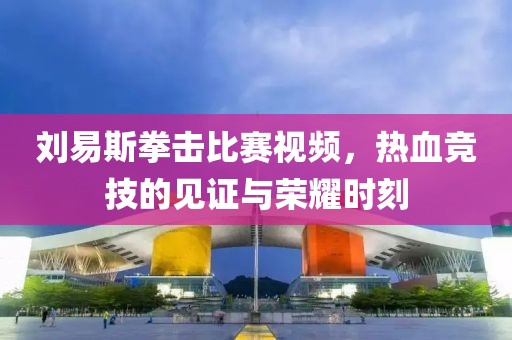 刘易斯拳击比赛视频，热血竞技的见证与荣耀时刻