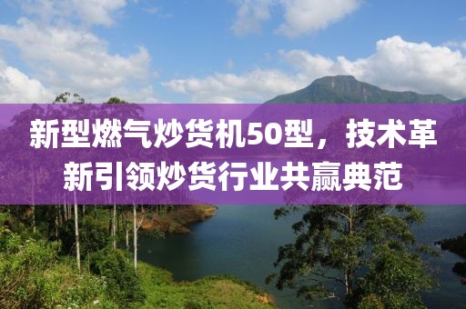 新型燃气炒货机50型，技术革新引领炒货行业共赢典范