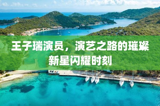 王子瑞演员，演艺之路的璀璨新星闪耀时刻