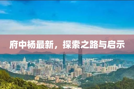 府中杨最新，探索之路与启示