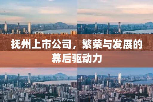 抚州上市公司，繁荣与发展的幕后驱动力