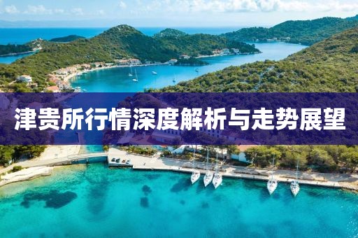 津贵所行情深度解析与走势展望
