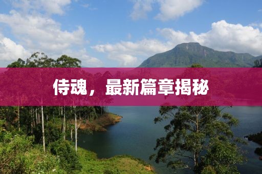 侍魂，最新篇章揭秘