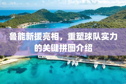 鲁能新援亮相，重塑球队实力的关键拼图介绍