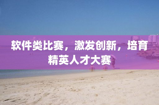 软件类比赛，激发创新，培育精英人才大赛
