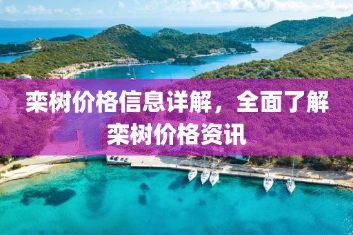栾树价格信息详解，全面了解栾树价格资讯