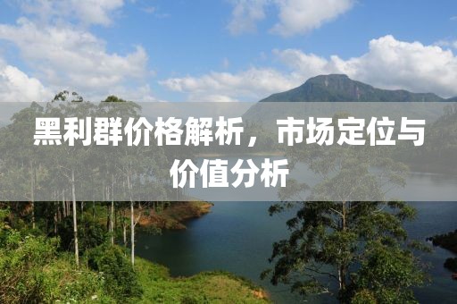 黑利群价格解析，市场定位与价值分析