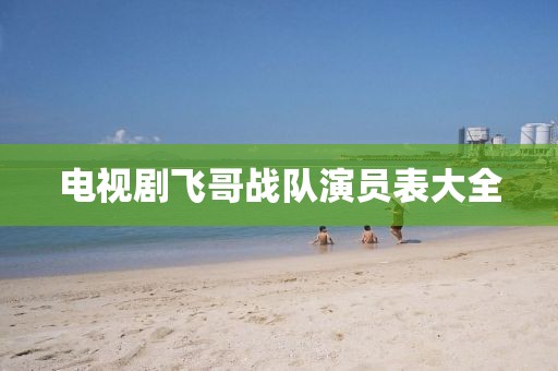 电视剧飞哥战队演员表大全