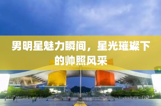 男明星魅力瞬间，星光璀璨下的帅照风采