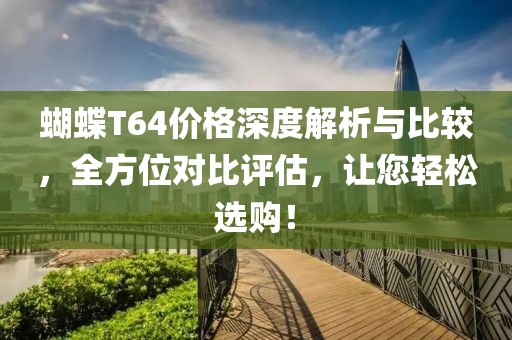 蝴蝶T64价格深度解析与比较，全方位对比评估，让您轻松选购！