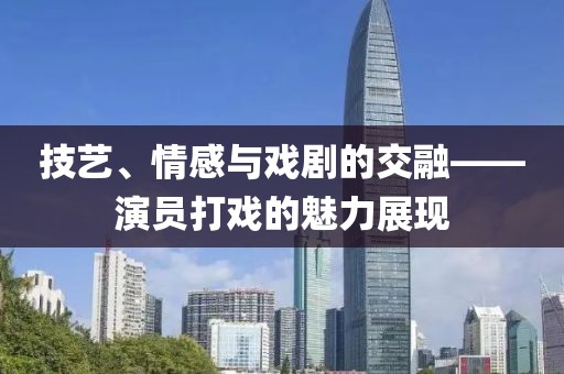 技艺、情感与戏剧的交融——演员打戏的魅力展现