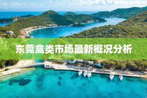 东莞禽类市场最新概况分析
