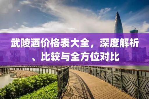 武陵酒价格表大全，深度解析、比较与全方位对比