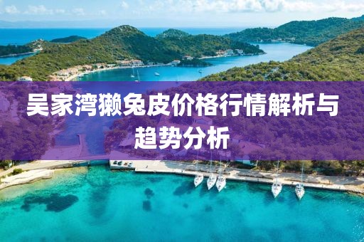 吴家湾獭兔皮价格行情解析与趋势分析