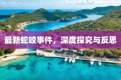 最新蛇咬事件，深度探究与反思