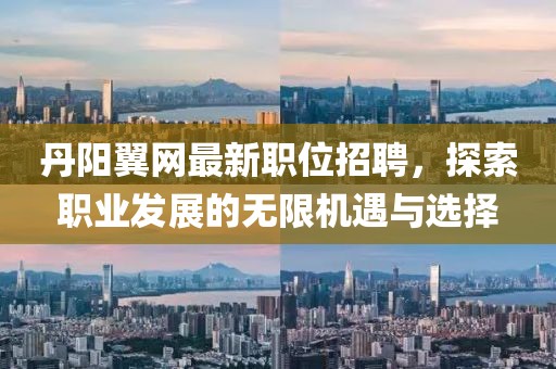 丹阳翼网最新职位招聘，探索职业发展的无限机遇与选择