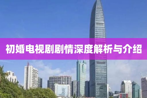 初婚电视剧剧情深度解析与介绍