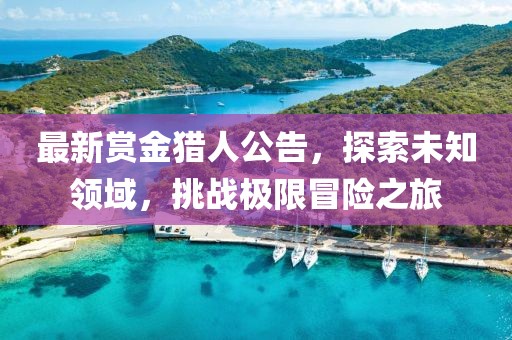最新赏金猎人公告，探索未知领域，挑战极限冒险之旅