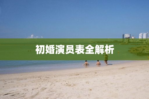初婚演员表全解析