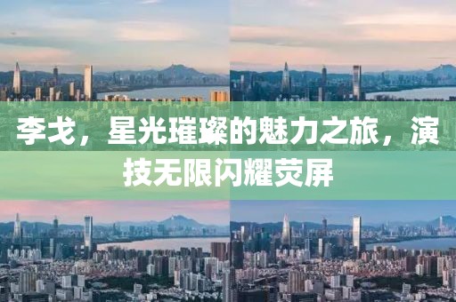 李戈，星光璀璨的魅力之旅，演技无限闪耀荧屏