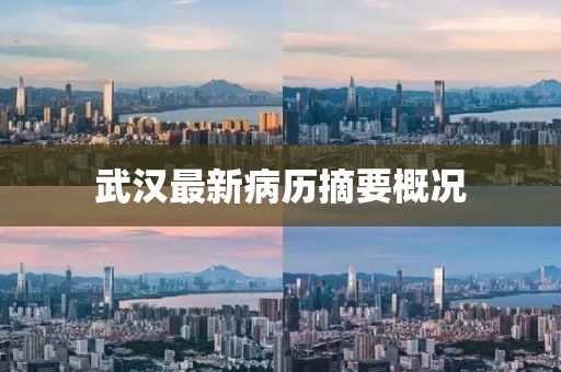 武汉最新病历摘要概况