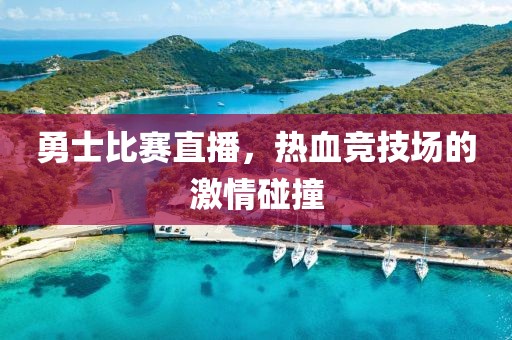 勇士比赛直播，热血竞技场的激情碰撞